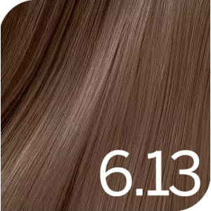 Revlon Hair Colours Revlonissimo 6.13 60ml